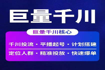 案例解读：网络推广与竞价策略